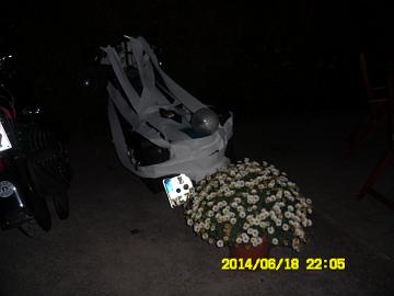 Turkey (439)